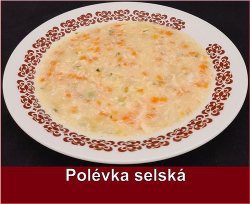 Polévka selská PLU 17120.jpg